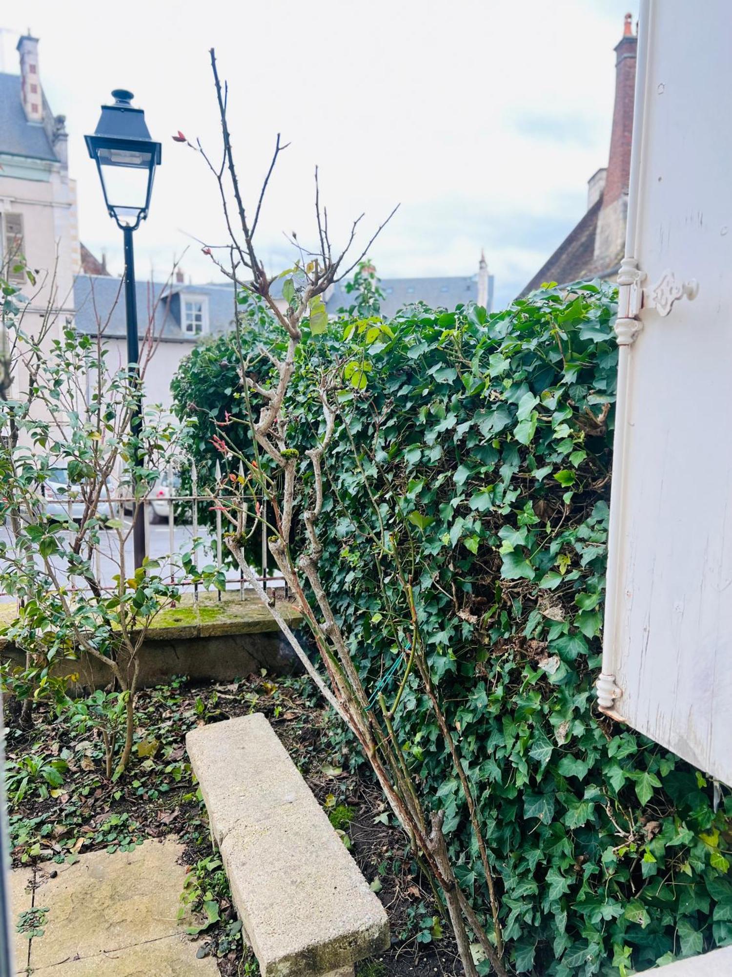 Le Coeur De Bourges Daire Dış mekan fotoğraf
